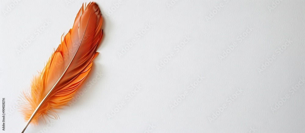 Aufkleber Feather from a bird displayed on a plain white backdrop with ample copy space image