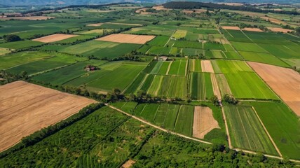 Aerial view of vibrant agricultural fields showcasing various shades of green and brown, highlighting the beauty of rural landscapes.