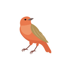 Bird minimalist vector illustration ,simple transparent graphic element .Isolated on white background