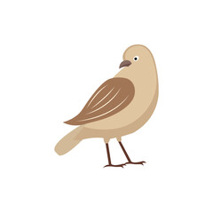 Bird minimalist vector illustration ,simple transparent graphic element .Isolated on white background