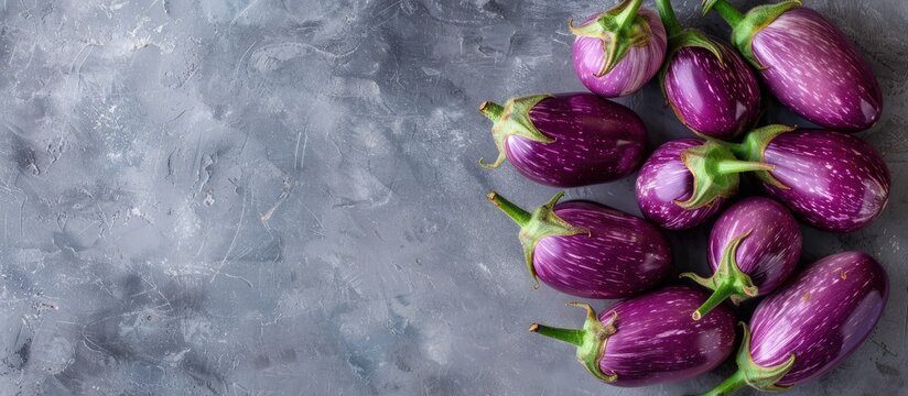 Many vibrant small purple baby eggplants against a grey background with copy space image