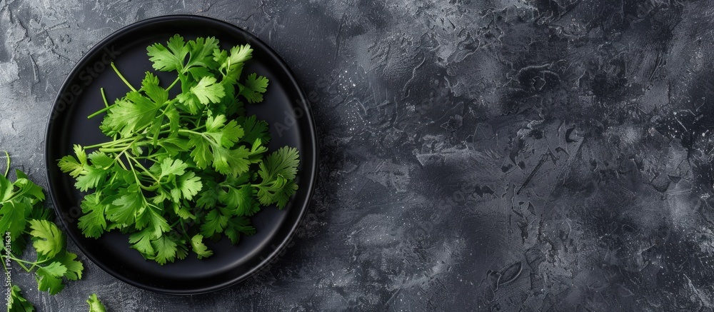 Aufkleber coriander displayed on a black plate with abundant copy space image