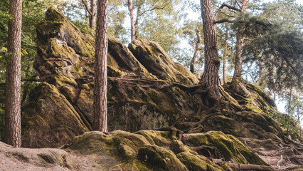 Dörenther Klippen - Ibbenbüren - Teutoburger Wald