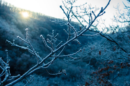 Winterzauber