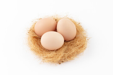 Eggs in a hay nest 