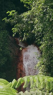 A serene waterfall cascading down a rocky surface surrounded by lush green tropical foliage in Pulang Bato Waterfall in Valencia Negros Oriental, Philippines