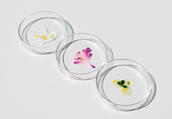 Petri dishes with cosmetic products and plant parts. Natural skin care concept, laboratory research