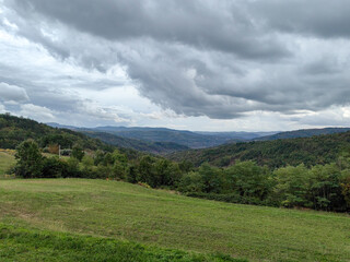 Obraz premium Beautiful green walley in Istria Croatia, trees and forest under the cloudy sky