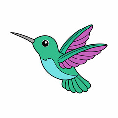Flying Hummingbird Vector Illustration Cartoon Clipart and Line Art Design