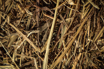Compressed hay and straw, photo background, wallpaper
