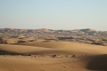 sand dunes in the desert