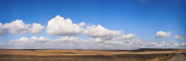 Summer landscape with withered grass field, sunny blue sky and clouds.