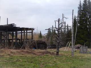 abandoned house in the woods