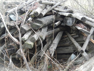 old firewood