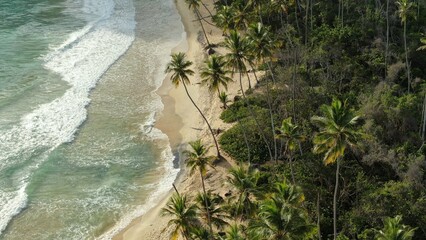 Venezuela perfect landscape waterfall beach