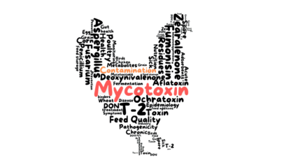 Aflatoxin, ochratoxin, trichothecene, zearalenone, fumonisin, Aspergillus, Penicillium, Fusarium, liver damage, kidney damage, immunosuppression, mycotoxin,  feed contamination,