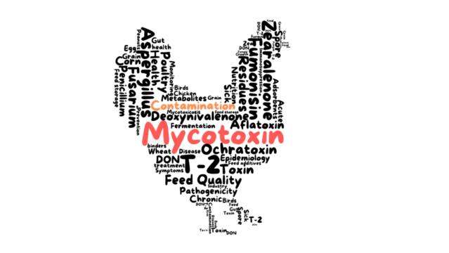 Aflatoxin, ochratoxin, trichothecene, zearalenone, fumonisin, Aspergillus, Penicillium, Fusarium, liver damage, kidney damage, immunosuppression, mycotoxin,  feed contamination,