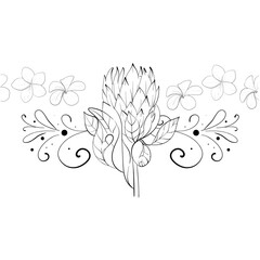 Vector simple tropical seamless pattern - proteas and plumeria. Summer border with exotic flowers. Hand drawn graphic ornament. Black circuit silhouette