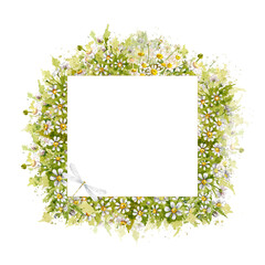 Watercolor square frame of small daisies, chamomile flowers and dragonfly. Hand drawn illustration