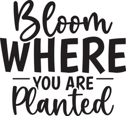 Bloom Where You Are Planted