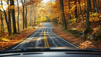 A road winding through autumn-colored forests