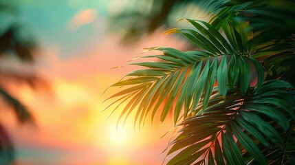Exotic palm leaves with a sunset backdrop, botanical background close up, tropical theme, vibrant, overlay, beach, copy space for text