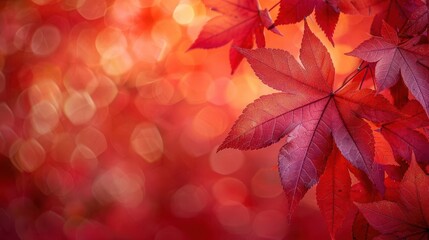 Fototapeta premium Red maple leaves in detail, botanical background close up, fall season, vibrant, double exposure, garden, copy space for text
