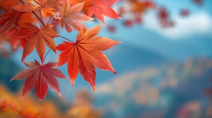 Red maple leaves with intricate detail, botanical background close up, autumn day, vibrant, manipulation, mountain trail, copy space for text