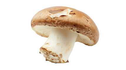 Fototapeta premium Fresh Brown Mushroom on Transparent Background