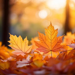 Macro view of autumn flora with a blurred, out-of-focus background.