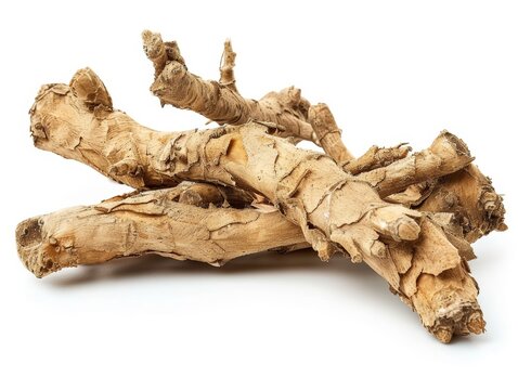 Photo of Chinese skullcap (huang qin) root, isolated on white background