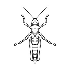 grasshopper black and white vector illustration.  mantis or cricket, insect concept, thin line symbol on white background