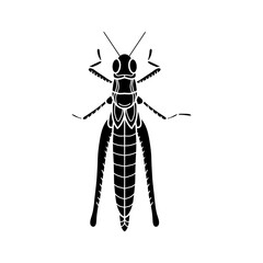grasshopper black and white vector illustration.  mantis or cricket, insect concept, thin line symbol on white background