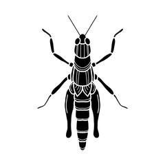 grasshopper black and white vector illustration.  mantis or cricket, insect concept, thin line symbol on white background