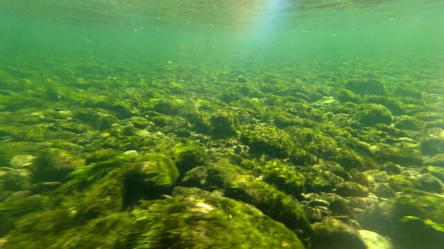 To swim and see the bottom of a transparent river