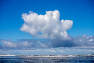 Fluffy White Cloud Over Serene Ocean Landscape