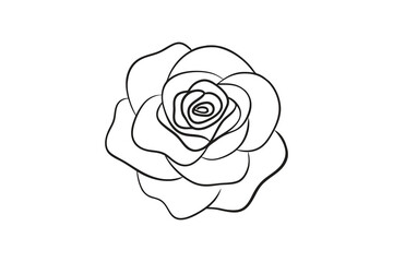 Rose flower for design element and coloring book pages for kids