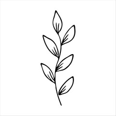 hand drawn simple botanical floral doodle element