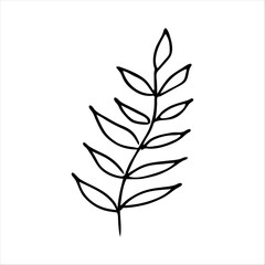 hand drawn simple botanical floral doodle element