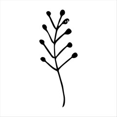 hand drawn simple botanical floral doodle element