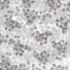 Abstract Interiors Decorative 3d Grunge texture Wallpaper design background