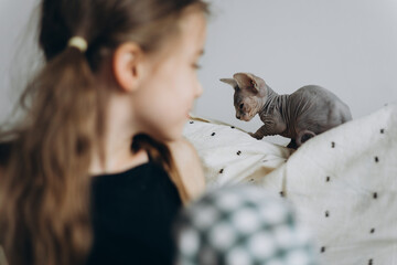 a portrait of a little schoolgirl without 1 baby tooth and her sphinx cat with whom she plays,...