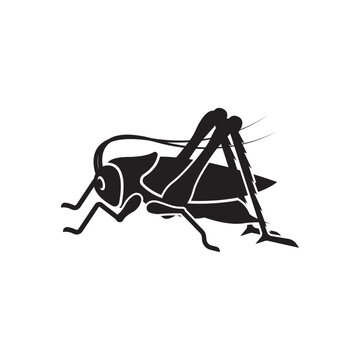 cricket insect icon vector illustration design template