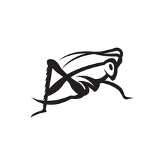 cricket insect icon vector illustration design template © AR54K4 19