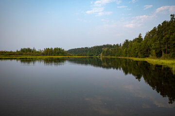 The Serene Reflection of Trees Majestically Mirrored in Calm, Still Water Surfaces