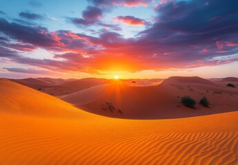 Fototapeta premium A stunning desert sunset with a sky ablaze in shades of orange, pink, and purple, casting a warm glow over the sandy dunes