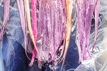 bright pink, purple and light colored streaks of hair on a blonde girl. Fashionable look. teenager...