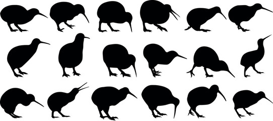 Kiwi bird silhouette vector illustration set