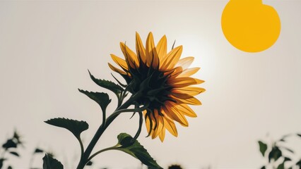A sunflower with a yellow center and green leaves in the background, AI