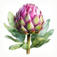 Obraz premium Watercolor Artichoke Illustration, Generative Ai